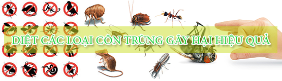 Diệt các loại côn trùng gây hại như: Ruồi, muỗi, kiến, gián, chuột, ve chó, rệp hiệu quả cao