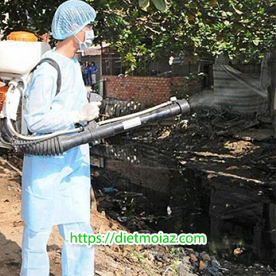 diet con trung trung gia phat tai quan 12 nho