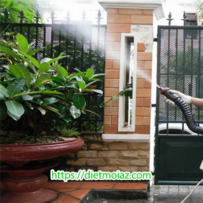 diet con trung trung gia phat tai quan 9 nho